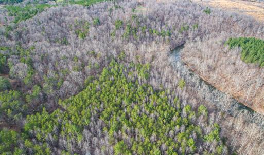 Photo #66 of Off Slow Water Court, Sandy Level, VA 10.6 acres