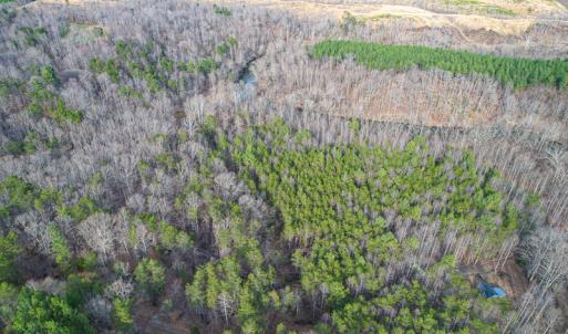 Photo #67 of Off Slow Water Court, Sandy Level, VA 10.6 acres