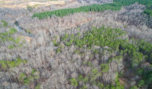Photo #68 of Off Slow Water Court, Sandy Level, VA 10.6 acres