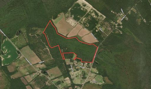 Photo #1 of SOLD property in 1312 Todd Road, Marion, SC 101.7 acres