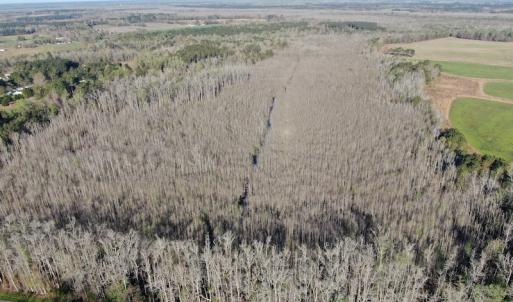 Photo #2 of SOLD property in 1312 Todd Road, Marion, SC 101.7 acres