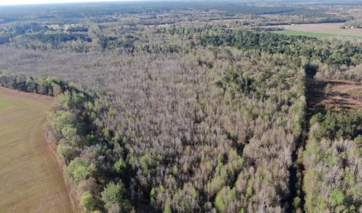 Photo #3 of SOLD property in 1312 Todd Road, Marion, SC 101.7 acres