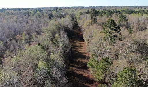 Photo #4 of SOLD property in 1312 Todd Road, Marion, SC 101.7 acres
