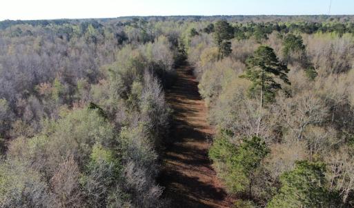 Photo #4 of SOLD property in 1312 Todd Road, Marion, SC 101.7 acres