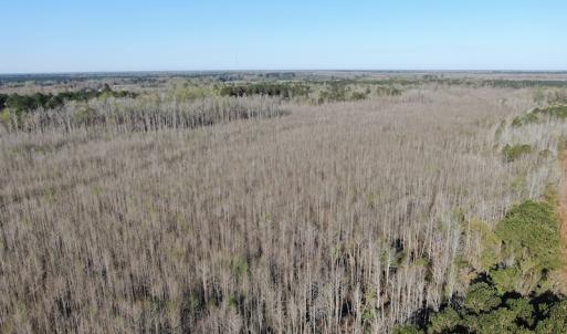 Photo #5 of SOLD property in 1312 Todd Road, Marion, SC 101.7 acres