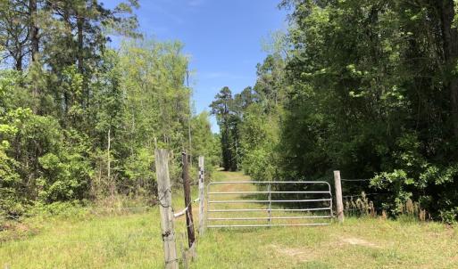Photo #13 of SOLD property in 1312 Todd Road, Marion, SC 101.7 acres