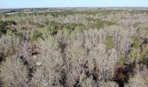 Photo #18 of SOLD property in 1312 Todd Road, Marion, SC 101.7 acres