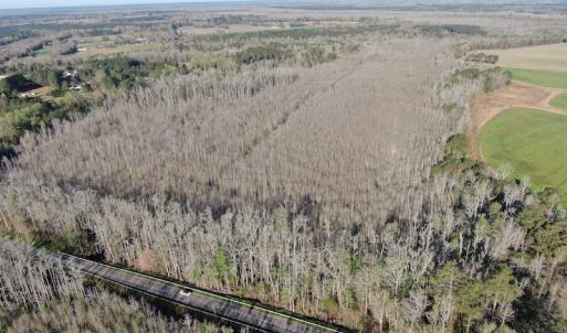 Photo #17 of SOLD property in 1312 Todd Road, Marion, SC 101.7 acres