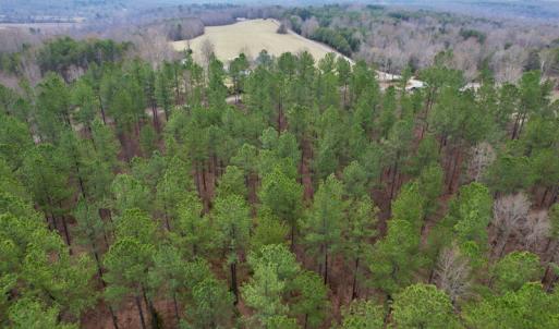 Photo #10 of SOLD property in Lot 20 Indian Caves Road East, Meadville, VA 20.0 acres