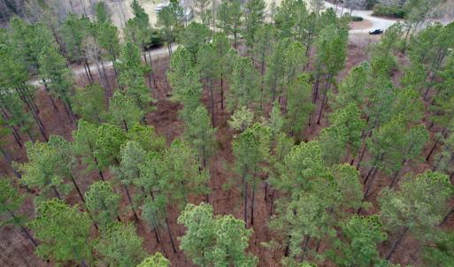 Photo #11 of SOLD property in Lot 20 Indian Caves Road East, Meadville, VA 20.0 acres
