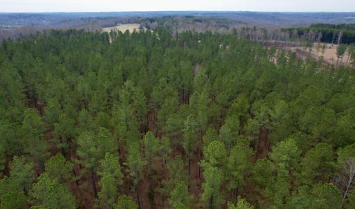Photo #14 of SOLD property in Lot 20 Indian Caves Road East, Meadville, VA 20.0 acres