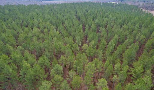 Photo #17 of SOLD property in Lot 20 Indian Caves Road East, Meadville, VA 20.0 acres