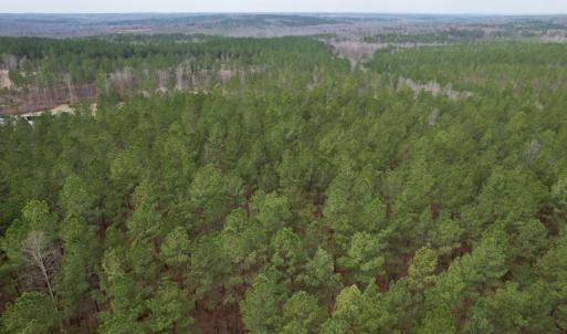 Photo #18 of SOLD property in Lot 20 Indian Caves Road East, Meadville, VA 20.0 acres