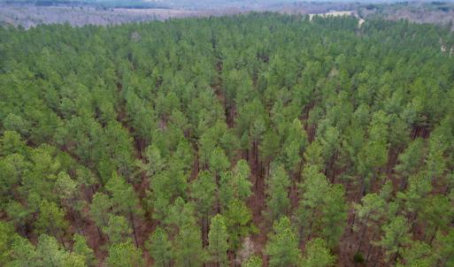 Photo #20 of SOLD property in Lot 20 Indian Caves Road East, Meadville, VA 20.0 acres
