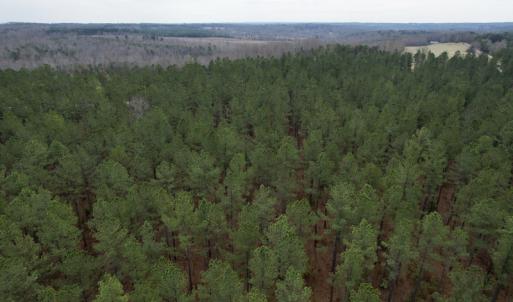 Photo #22 of SOLD property in Lot 20 Indian Caves Road East, Meadville, VA 20.0 acres