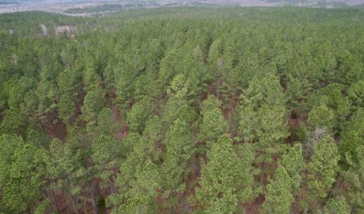 Photo #24 of SOLD property in Lot 20 Indian Caves Road East, Meadville, VA 20.0 acres