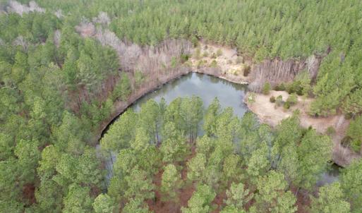 Photo #26 of SOLD property in Lot 20 Indian Caves Road East, Meadville, VA 20.0 acres