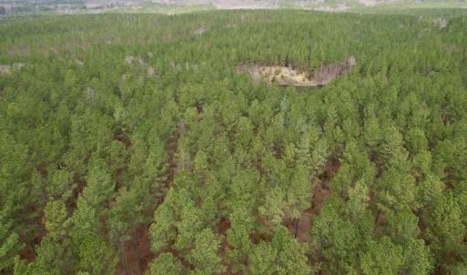 Photo #30 of SOLD property in Lot 20 Indian Caves Road East, Meadville, VA 20.0 acres