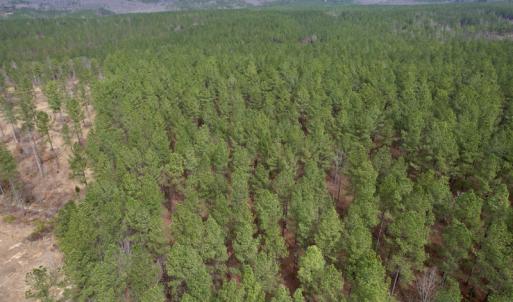 Photo #3 of SOLD property in Lot 20 Indian Caves Road East, Meadville, VA 20.0 acres