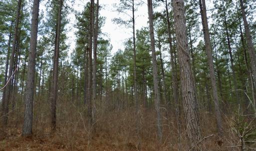 Photo #31 of SOLD property in Lot 20 Indian Caves Road East, Meadville, VA 20.0 acres