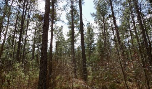 Photo #32 of SOLD property in Lot 20 Indian Caves Road East, Meadville, VA 20.0 acres