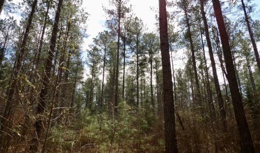 Photo #33 of SOLD property in Lot 20 Indian Caves Road East, Meadville, VA 20.0 acres