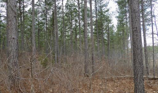 Photo #35 of SOLD property in Lot 20 Indian Caves Road East, Meadville, VA 20.0 acres