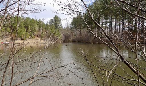 Photo #38 of SOLD property in Lot 20 Indian Caves Road East, Meadville, VA 20.0 acres