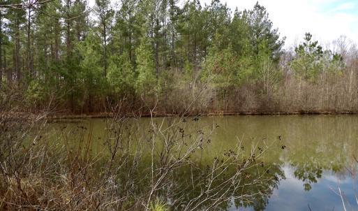 Photo #40 of SOLD property in Lot 20 Indian Caves Road East, Meadville, VA 20.0 acres