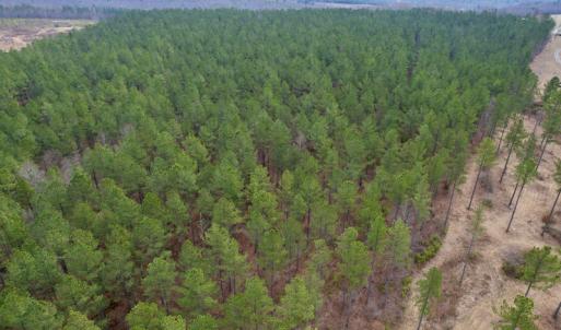 Photo #4 of SOLD property in Lot 20 Indian Caves Road East, Meadville, VA 20.0 acres