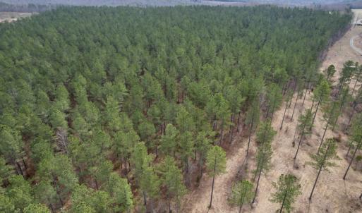 Photo #5 of SOLD property in Lot 20 Indian Caves Road East, Meadville, VA 20.0 acres