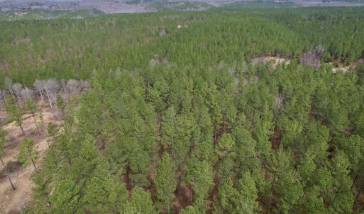 Photo #7 of SOLD property in Lot 20 Indian Caves Road East, Meadville, VA 20.0 acres
