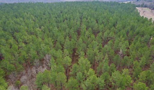 Photo #8 of SOLD property in Lot 20 Indian Caves Road East, Meadville, VA 20.0 acres