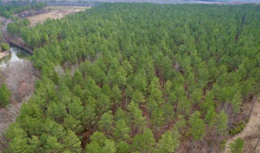 Photo #9 of SOLD property in Lot 20 Indian Caves Road East, Meadville, VA 20.0 acres
