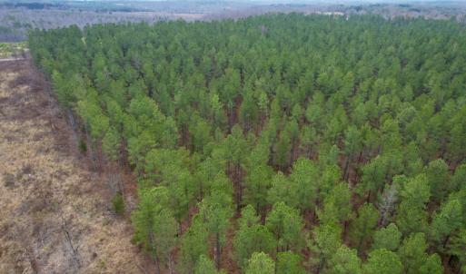 Photo #11 of SOLD property in Lot 21 Indian Caves Rd East, Meadville, VA 20.4 acres