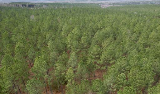 Photo #14 of SOLD property in Lot 21 Indian Caves Rd East, Meadville, VA 20.4 acres