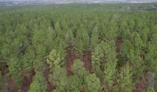 Photo #15 of SOLD property in Lot 21 Indian Caves Rd East, Meadville, VA 20.4 acres