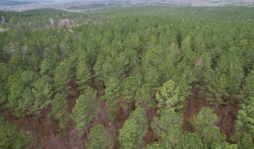 Photo #18 of SOLD property in Lot 21 Indian Caves Rd East, Meadville, VA 20.4 acres