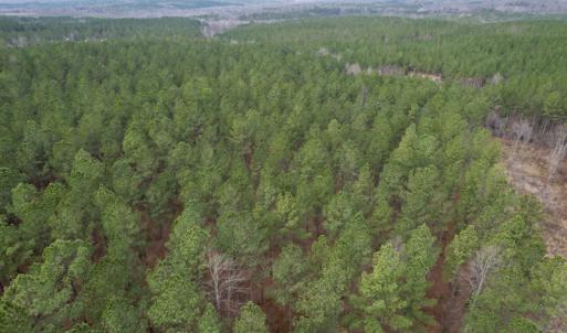 Photo #22 of SOLD property in Lot 21 Indian Caves Rd East, Meadville, VA 20.4 acres