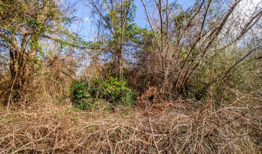 Photo #17 of SOLD property in 219 W. Dover Road, Dover, NC 2.7 acres