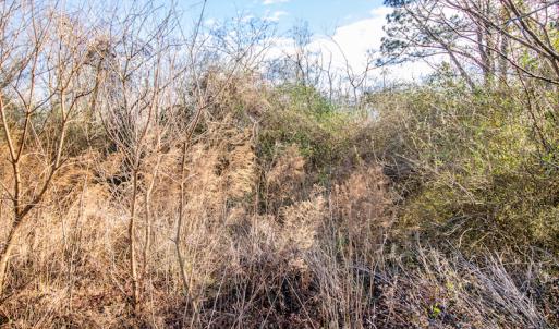 Photo #18 of SOLD property in 219 W. Dover Road, Dover, NC 2.7 acres