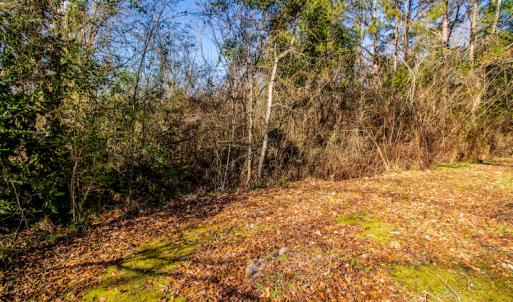 Photo #22 of SOLD property in 219 W. Dover Road, Dover, NC 2.7 acres