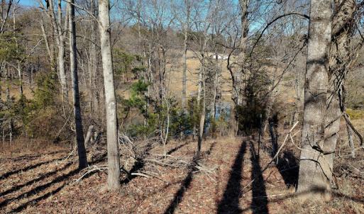 Photo #3 of SOLD property in 1539 Bruno Drive, Goodview, VA 2.0 acres