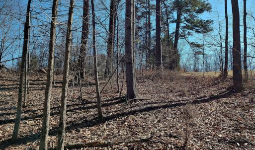Photo #8 of SOLD property in 1539 Bruno Drive, Goodview, VA 2.0 acres