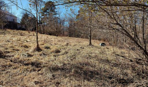 Photo #9 of SOLD property in 1539 Bruno Drive, Goodview, VA 2.0 acres