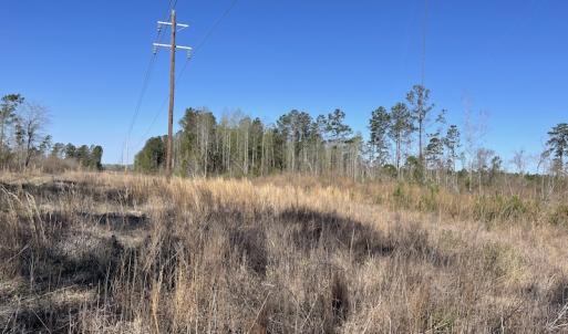 Photo #4 of Off Pee Dee Church Road, Dillon, SC 29.6 acres