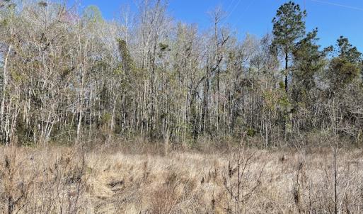 Photo #6 of Off Pee Dee Church Road, Dillon, SC 29.6 acres