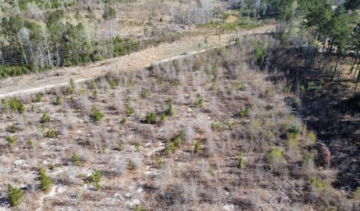 Photo #7 of Off Pee Dee Church Road, Dillon, SC 29.6 acres