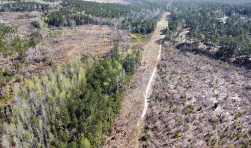 Photo #8 of Off Pee Dee Church Road, Dillon, SC 29.6 acres