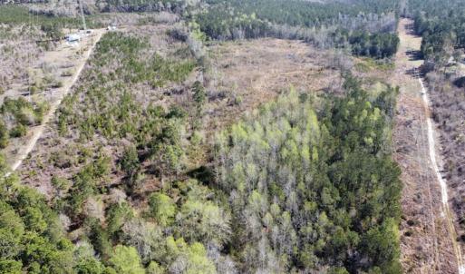 Photo #9 of Off Pee Dee Church Road, Dillon, SC 29.6 acres